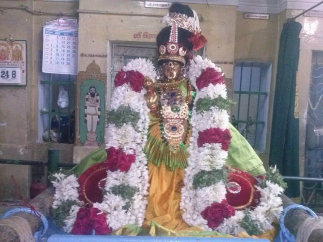 Aminjikarai Sri Prasanna Varadharaja Perumal Temple Sri Andal Thiruvadipooram Utsavam20