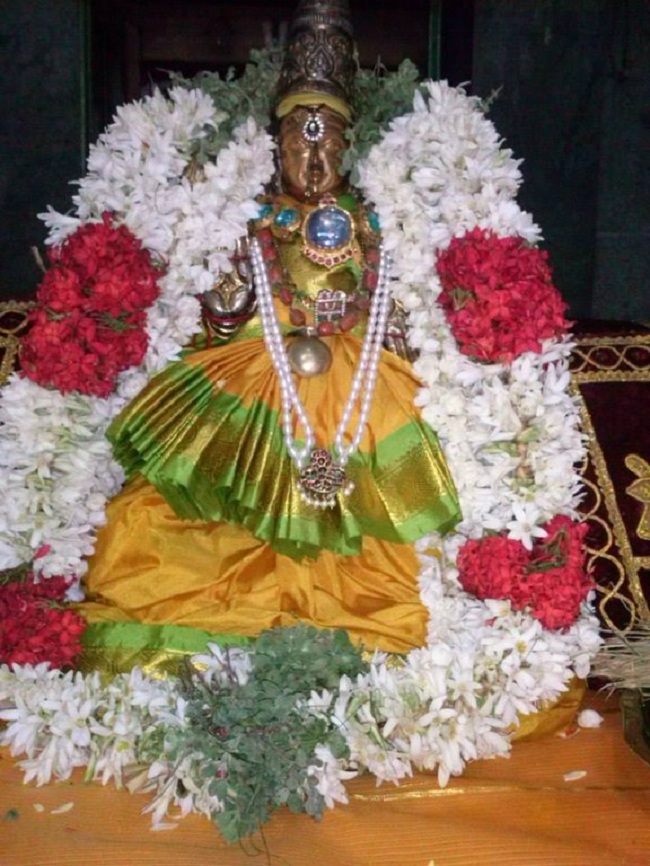 Aminjikarai Sri Prasanna Varadharaja Perumal Temple ThiruKalyana Utsavam10