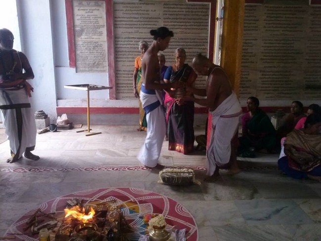 Aminjikarai Sri Prasanna Varadharaja Perumal Temple ThiruKalyana Utsavam15