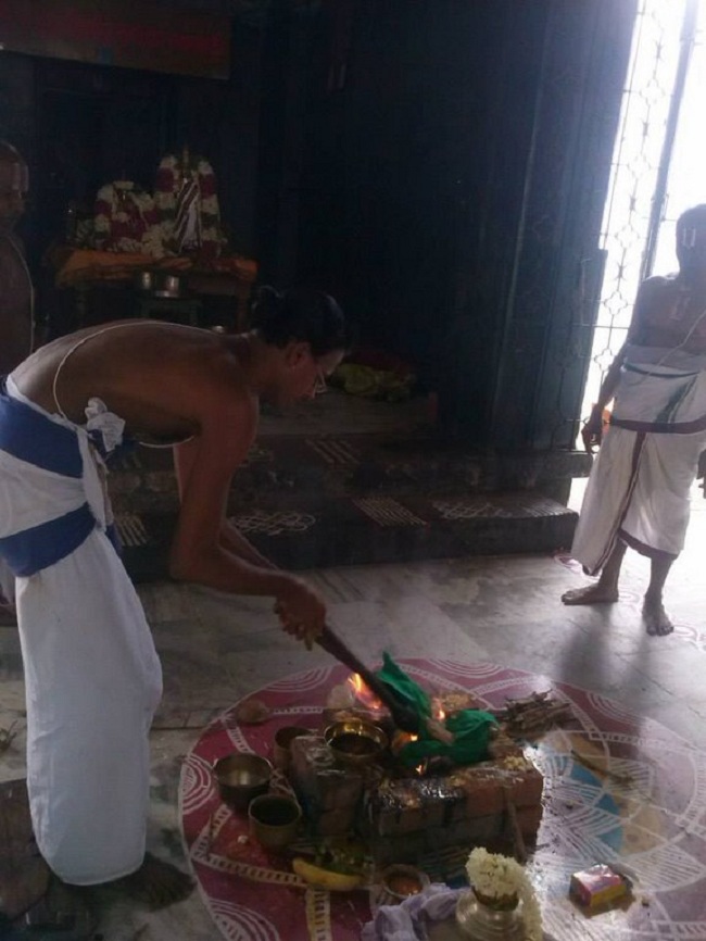 Aminjikarai Sri Prasanna Varadharaja Perumal Temple ThiruKalyana Utsavam19