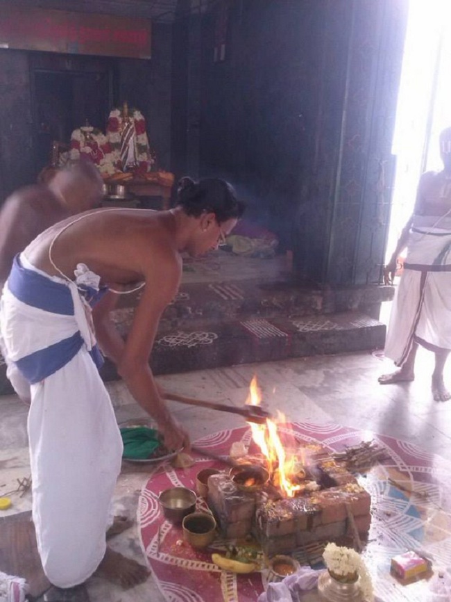 Aminjikarai Sri Prasanna Varadharaja Perumal Temple ThiruKalyana Utsavam2