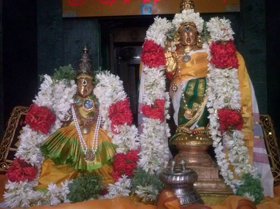 Aminjikarai Sri Prasanna Varadharaja Perumal Temple ThiruKalyana Utsavam7