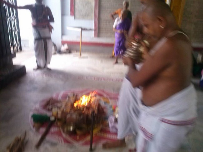Aminjikarai Sri Prasanna Varadharaja Perumal Temple ThiruKalyana Utsavam8