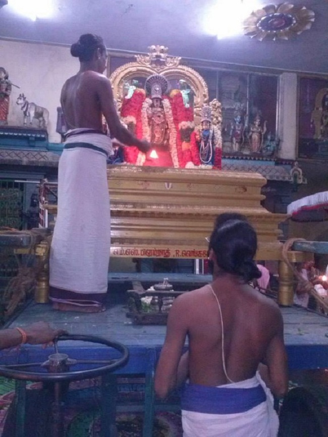 Aminjikarai Sri Prasanna Varadharaja Perumal Temple Vasantothsavam15