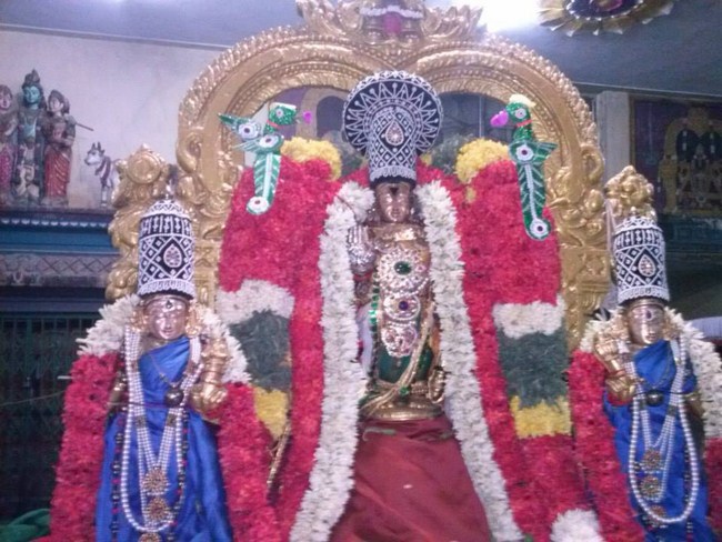 Aminjikarai Sri Prasanna Varadharaja Perumal Temple Vasantothsavam19