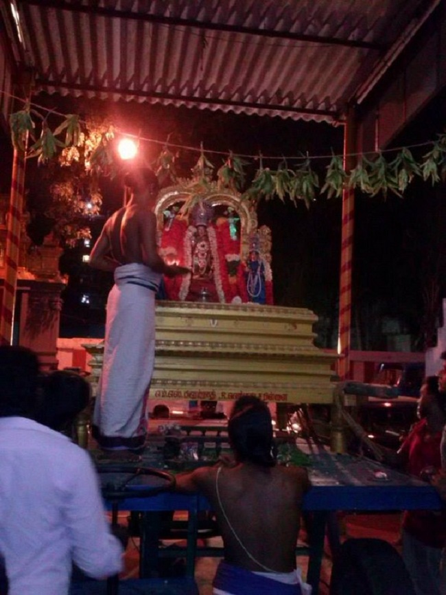 Aminjikarai Sri Prasanna Varadharaja Perumal Temple Vasantothsavam20