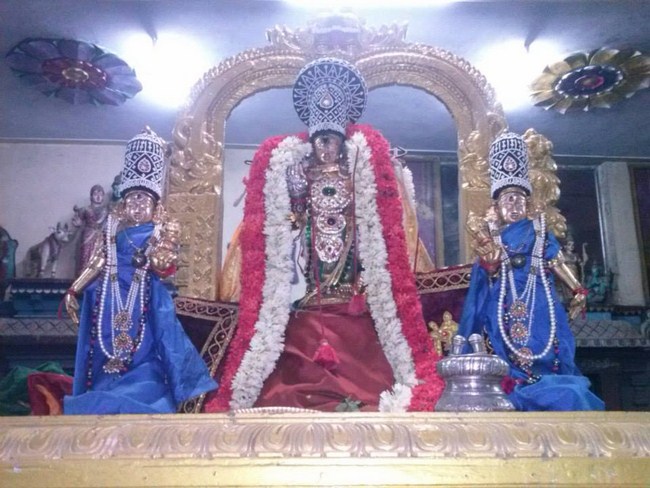 Aminjikarai Sri Prasanna Varadharaja Perumal Temple Vasantothsavam7