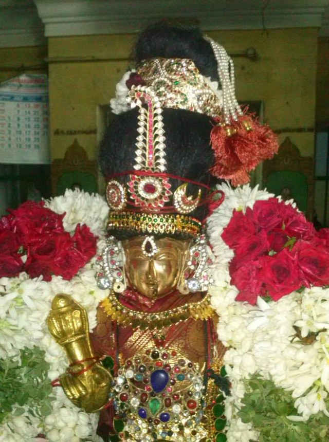 Aminjikarai Sri Prasanna Varadraja Perumal Temple Sri Andal Utsavam day 1 2014 12