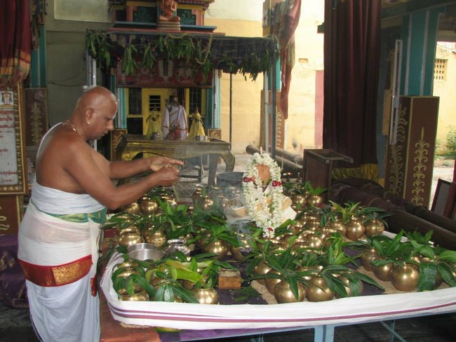 Arumbakkam Sri Satyavaradaraja Perumal Temple Jyestabhishekam And Kodai Uthsavam13