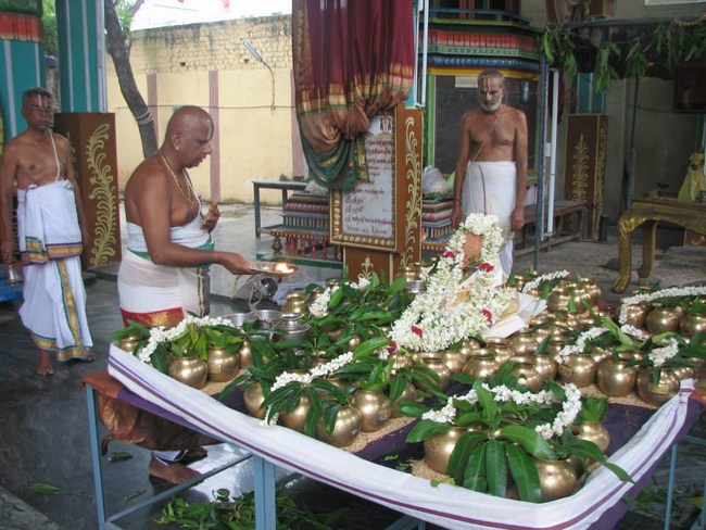 Arumbakkam Sri Satyavaradaraja Perumal Temple Jyestabhishekam And Kodai Uthsavam28