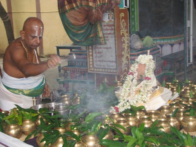 Arumbakkam Sri Satyavaradaraja Perumal Temple Jyestabhishekam And Kodai Uthsavam5