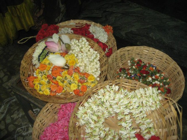 Arumbakkam Sri Satyavaradaraja Perumal Temple Kodai Uthsavam11