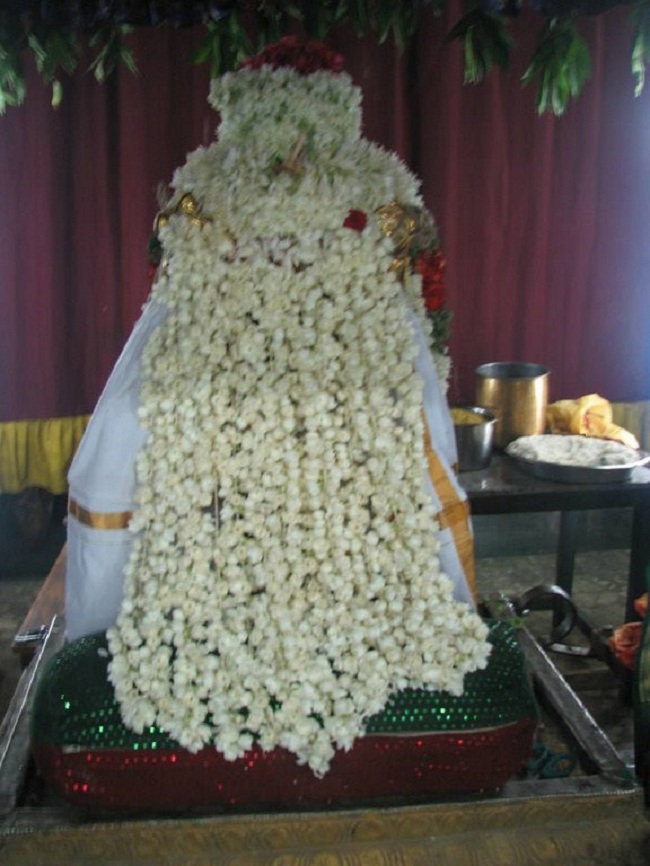 Arumbakkam Sri Satyavaradaraja Perumal Temple Kodai Uthsavam2