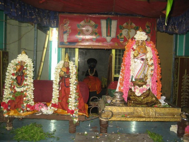 Arumbakkam Sri Satyavaradaraja Perumal Temple Kodai Uthsavam6
