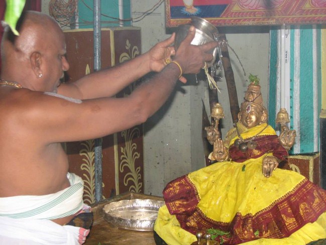 Arumbakkam Sri Satyavaradaraja Perumal Temple Kodai Utsavam Concludes24