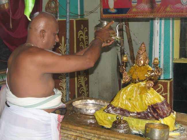 Arumbakkam Sri Satyavaradaraja Perumal Temple Kodai Utsavam Concludes28