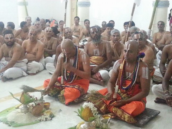 Chaturmasya Sankalpam of Tirumala-Tirupati Jeeyar14