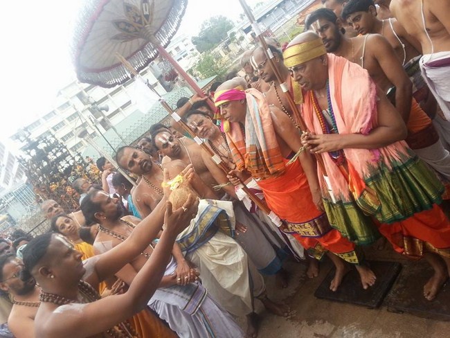 Chaturmasya Sankalpam of Tirumala-Tirupati Jeeyar23