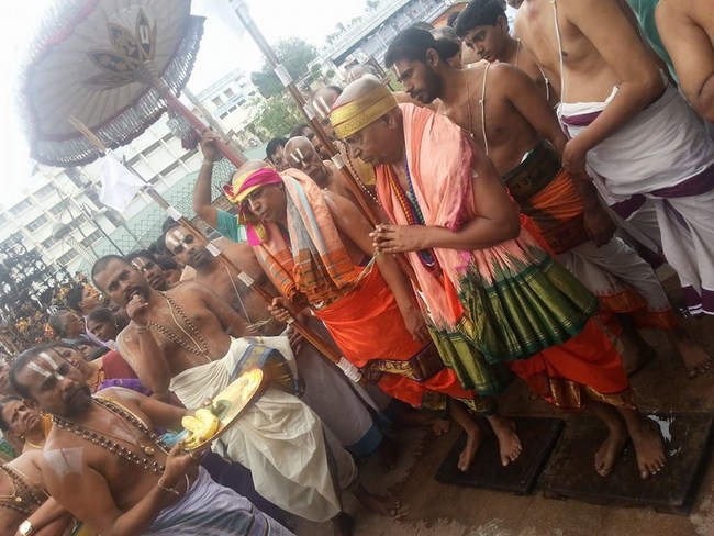 Chaturmasya Sankalpam of Tirumala-Tirupati Jeeyar34