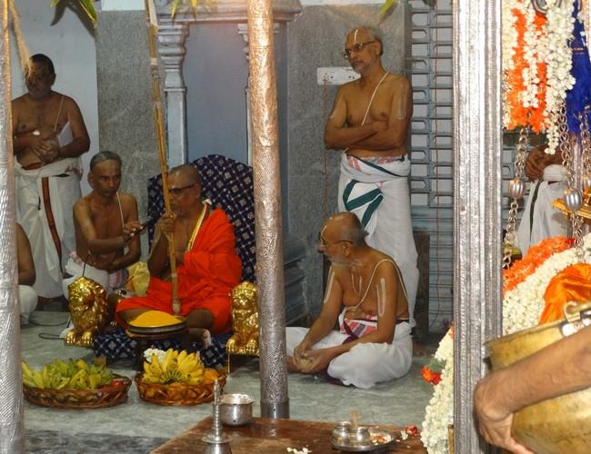 Dolai Utsavam at THiruvallikeni Sri Ahobila Mutt 2014 02