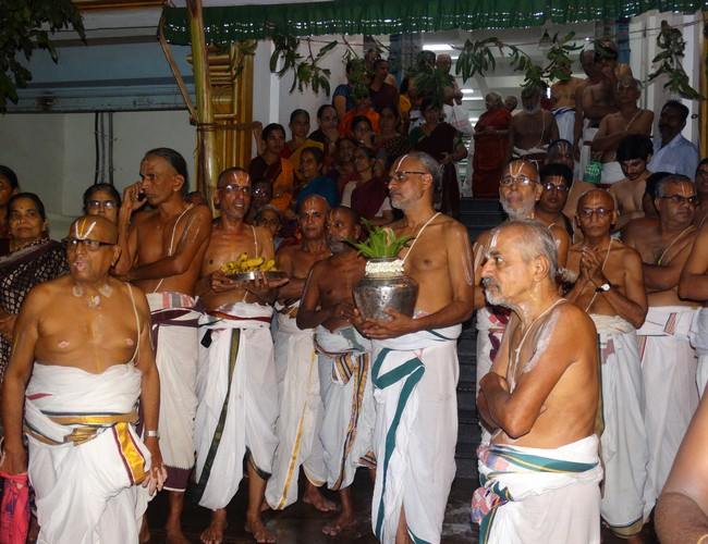 Dolai Utsavam at THiruvallikeni Sri Ahobila Mutt 2014 11
