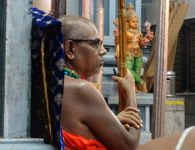 Dolai Utsavam at THiruvallikeni Sri Ahobila Mutt 2014 14