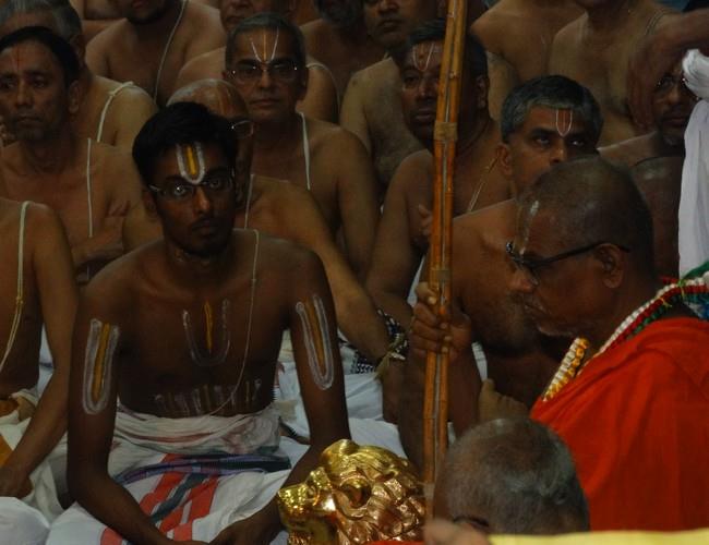 Dolai Utsavam at THiruvallikeni Sri Ahobila Mutt 2014 17