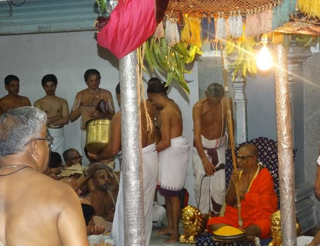 Dolai Utsavam at THiruvallikeni Sri Ahobila Mutt 2014 29