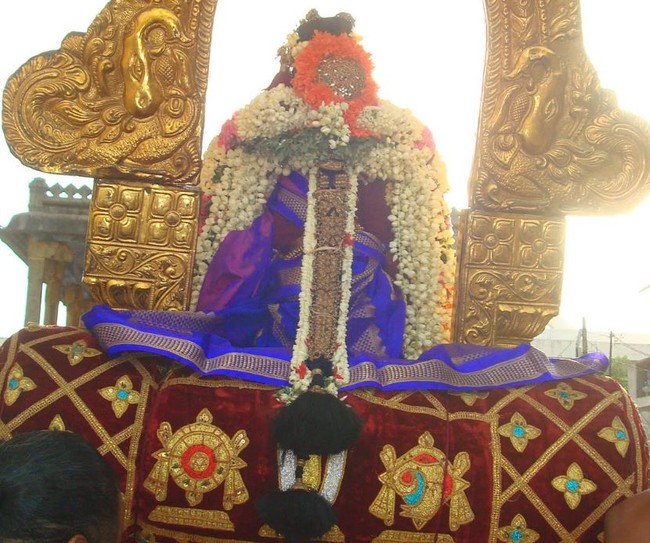 Kanchi Devarajaswami kovil  Andal THiruvadipooram Utsavam day 3 2014 02