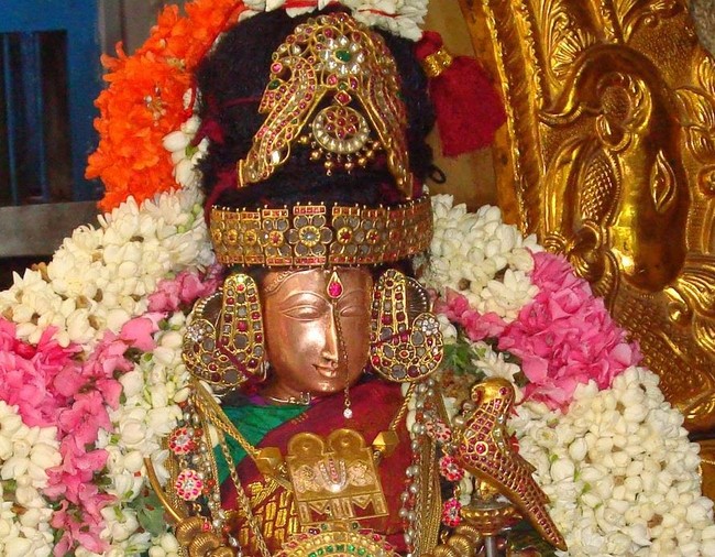 Kanchi Perumal Kovil Sri Andal Thiruvadipooram Utsavam day 7 2014 06