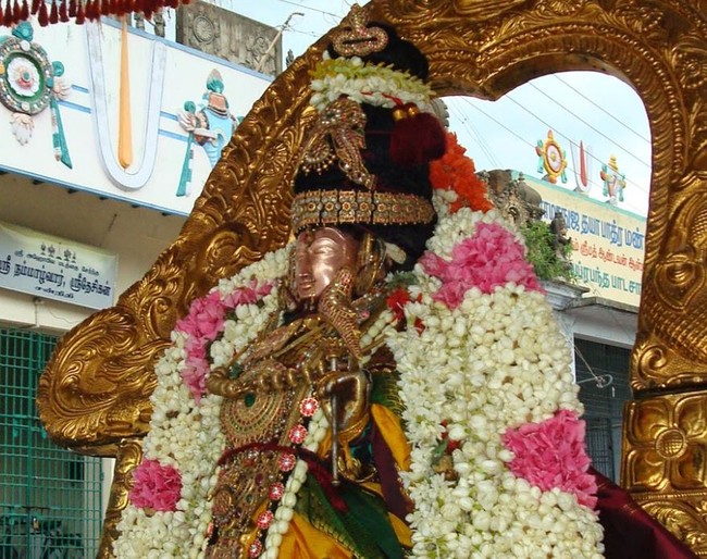 Kanchi Perumal Kovil Sri Andal Thiruvadipooram Utsavam day 7 2014 09