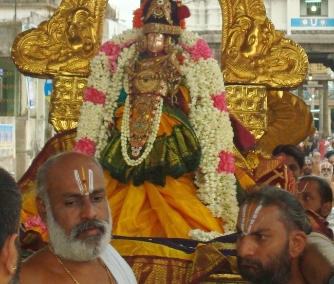 Kanchi Perumal Kovil Sri Andal Thiruvadipooram Utsavam day 7 2014 10