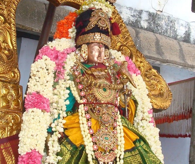Kanchi Perumal Kovil Sri Andal Thiruvadipooram Utsavam day 7 2014 12