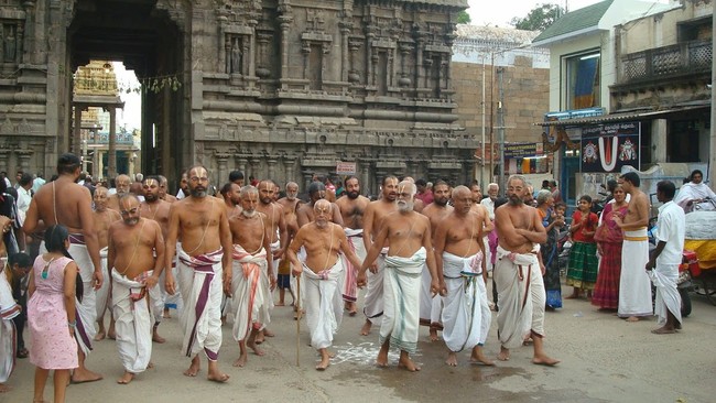 Kanchi Perumal Kovil Sri Andal Thiruvadipooram Utsavam day 7 2014 13
