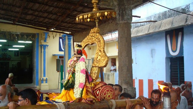 Kanchi Perumal Kovil Sri Andal Thiruvadipooram Utsavam day 7 2014 16