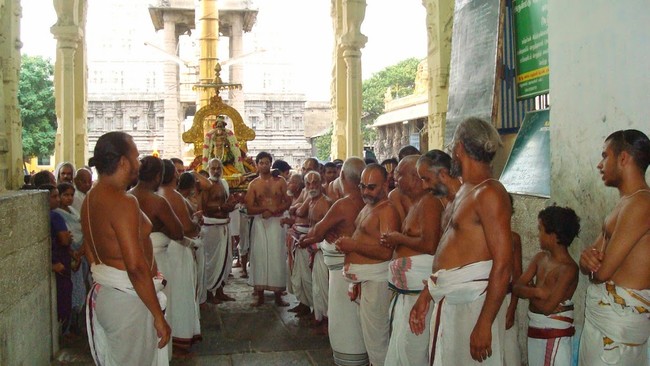 Kanchi Perumal Kovil Sri Andal Thiruvadipooram Utsavam day 7 2014 19