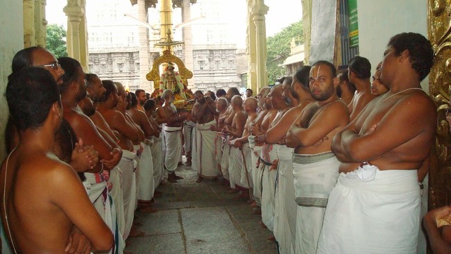 Kanchi Perumal Kovil Sri Andal Thiruvadipooram Utsavam day 7 2014 20