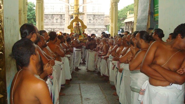 Kanchi Perumal Kovil Sri Andal Thiruvadipooram Utsavam day 7 2014 21