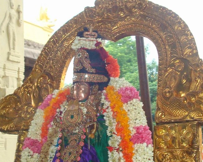 Kanchi Perumal Kovil  Sri Andal Thiruvadipooram Utsavam day 8 2014 1