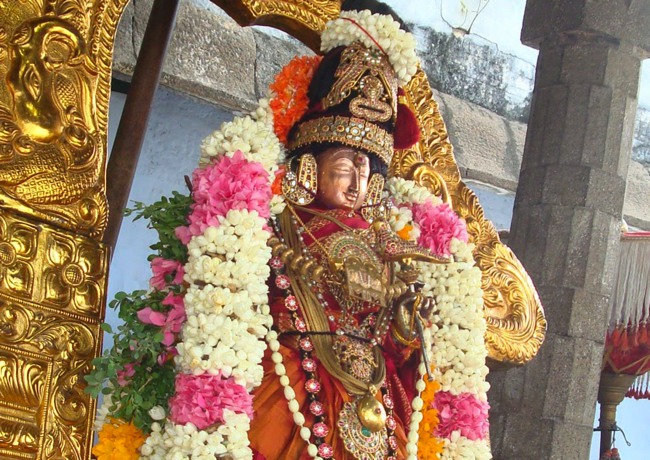 Kanchi  Perumal kovil Sri Andal Thiruvadipoora Utsavam day 6   2014--11