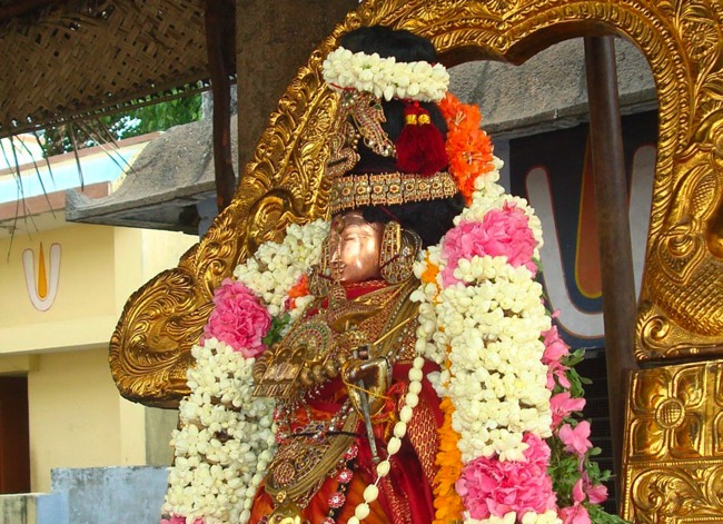 Kanchi  Perumal kovil Sri Andal Thiruvadipoora Utsavam day 6   2014--19