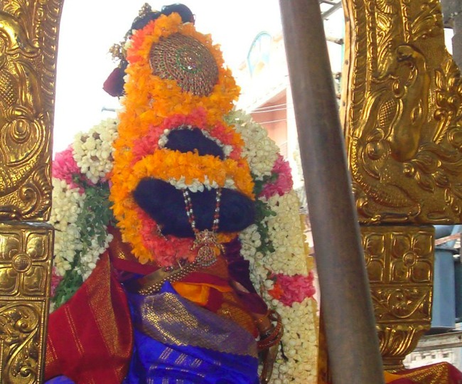 Kanchi Perumal kovil Thiruvadipooram utsavam  day 5 2014--09