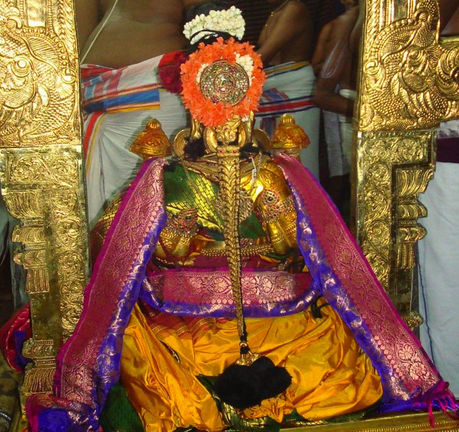 Kanchi Sri Peraralulan Kodai utsavam day 5 2014--00