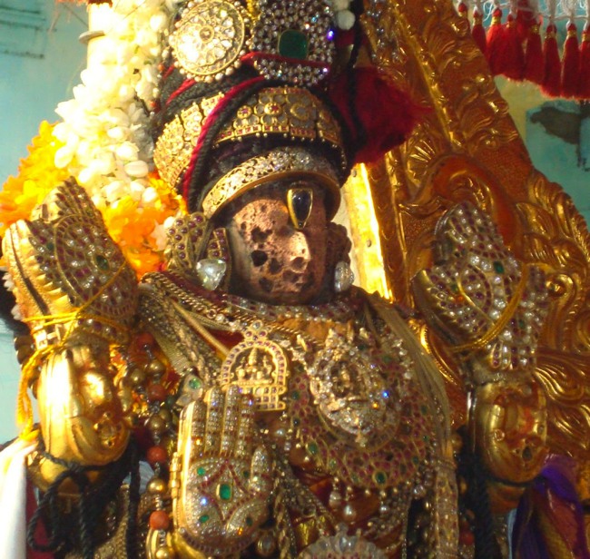 Kanchi Sri Peraralulan Kodai utsavam day 5 2014--06