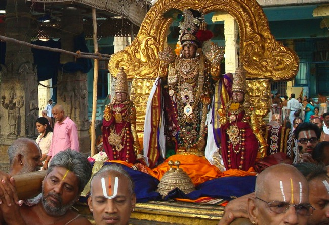 Kanchi Sri Peraralulan Kodai utsavam day 5 2014--07