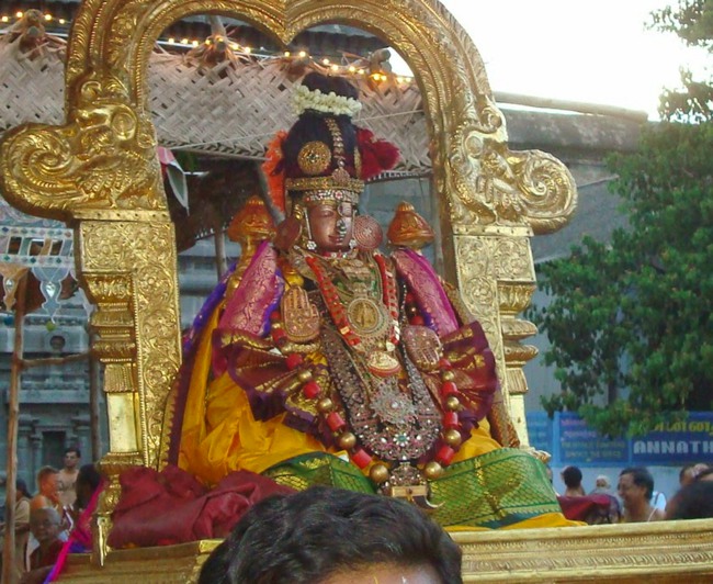 Kanchi Sri Peraralulan Kodai utsavam day 5 2014--16