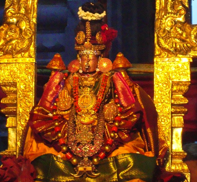 Kanchi Sri Peraralulan Kodai utsavam day 5 2014--19