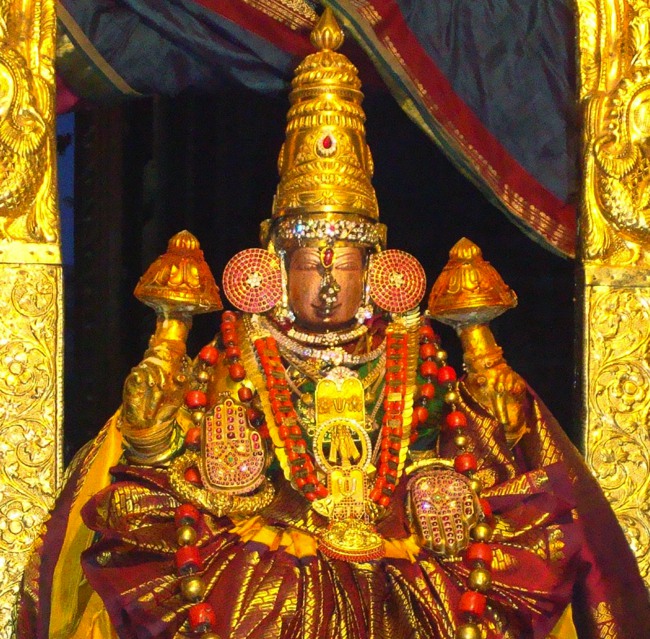 Kanchi Sri Peraralulan Kodai utsavam day 5 2014--22
