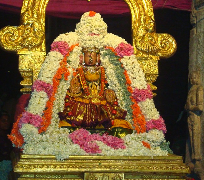 Kanchi Sri Peraralulan Kodai utsavam day 5 2014--27