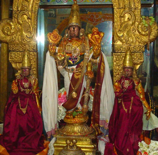 Kanchi Sri Peraralulan Kodai utsavam day 5 2014--29